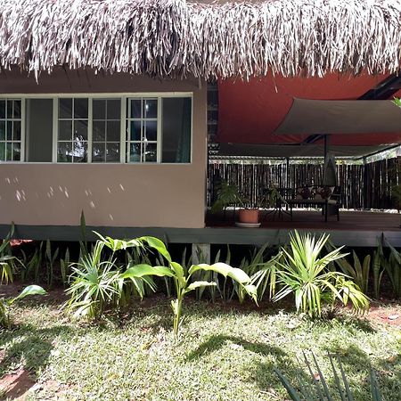 Monkey Lodge Panama Chilibre Extérieur photo