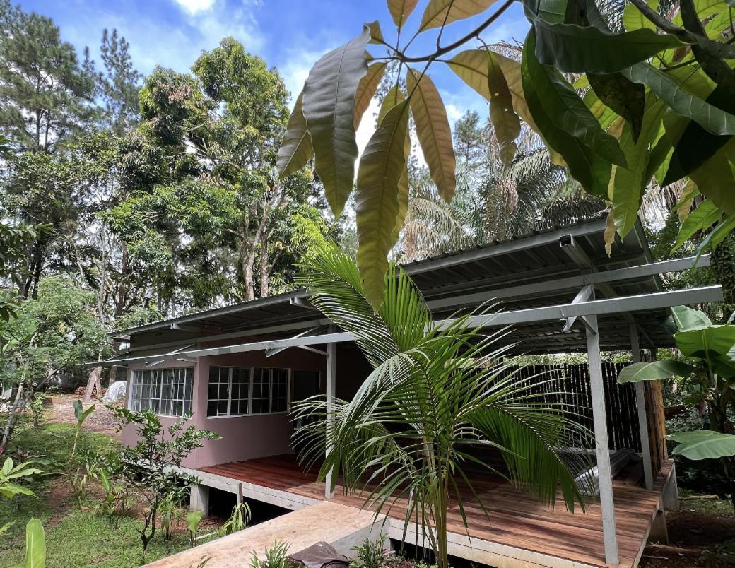 Monkey Lodge Panama Chilibre Extérieur photo