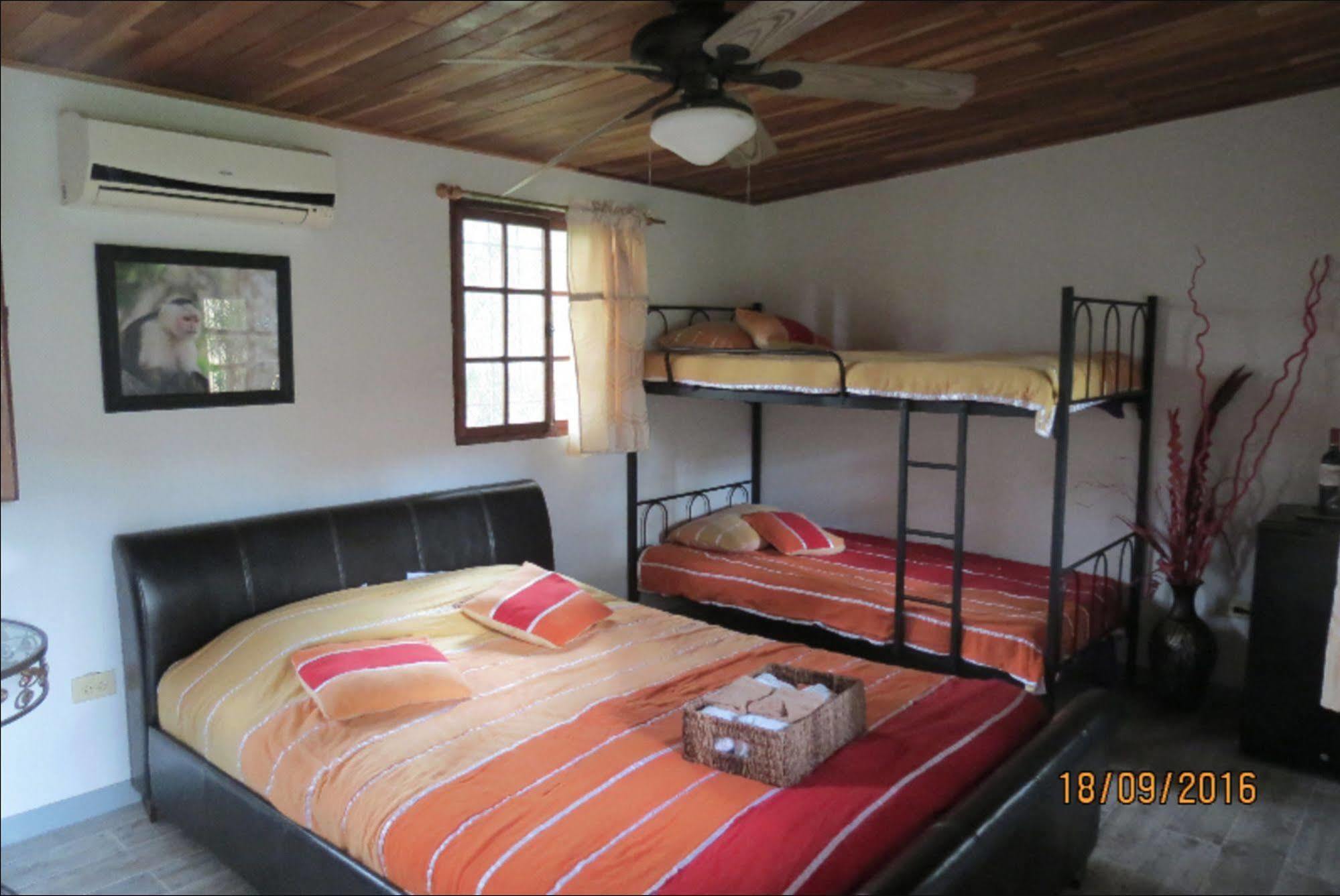 Monkey Lodge Panama Chilibre Extérieur photo