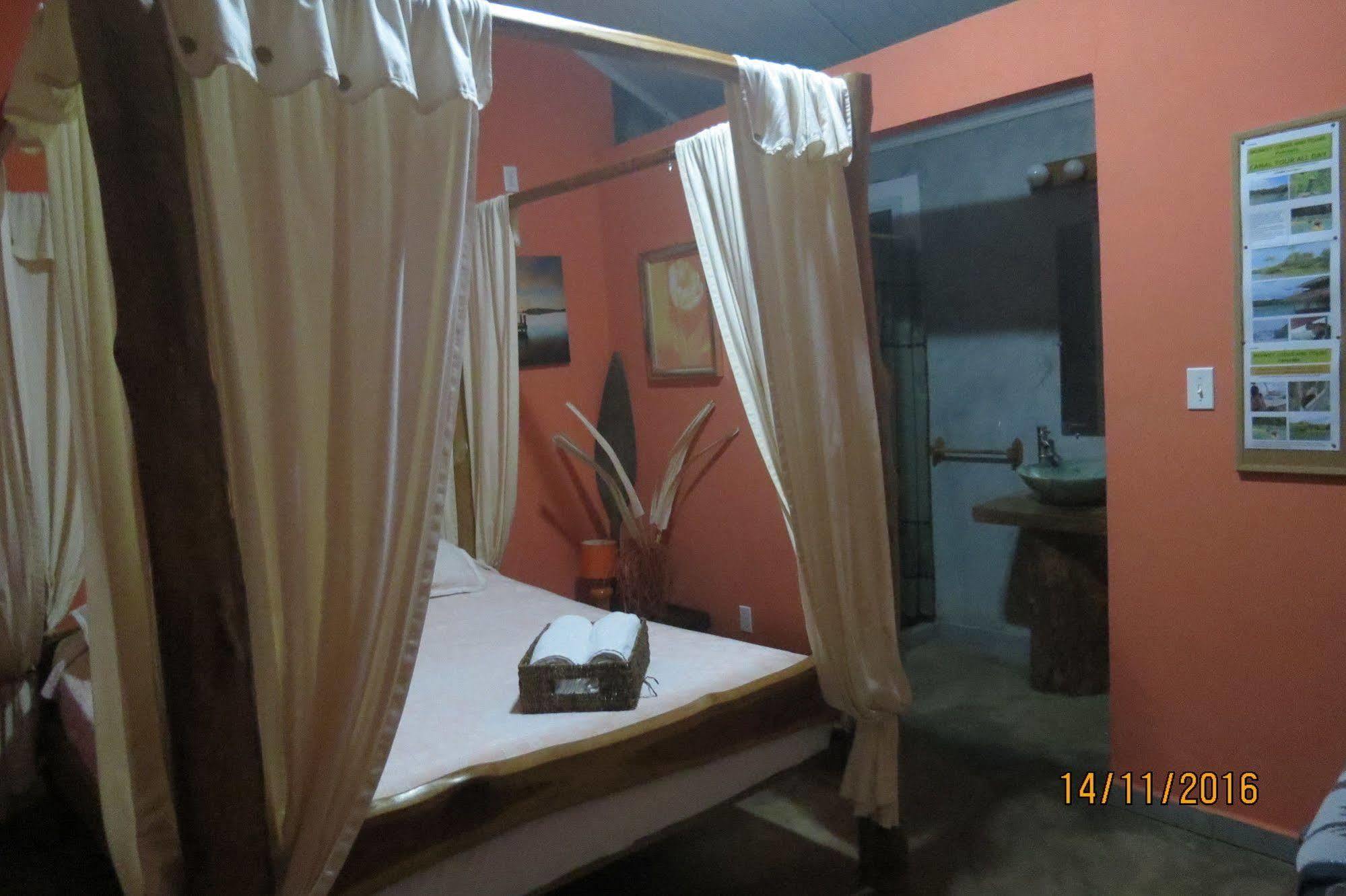 Monkey Lodge Panama Chilibre Extérieur photo