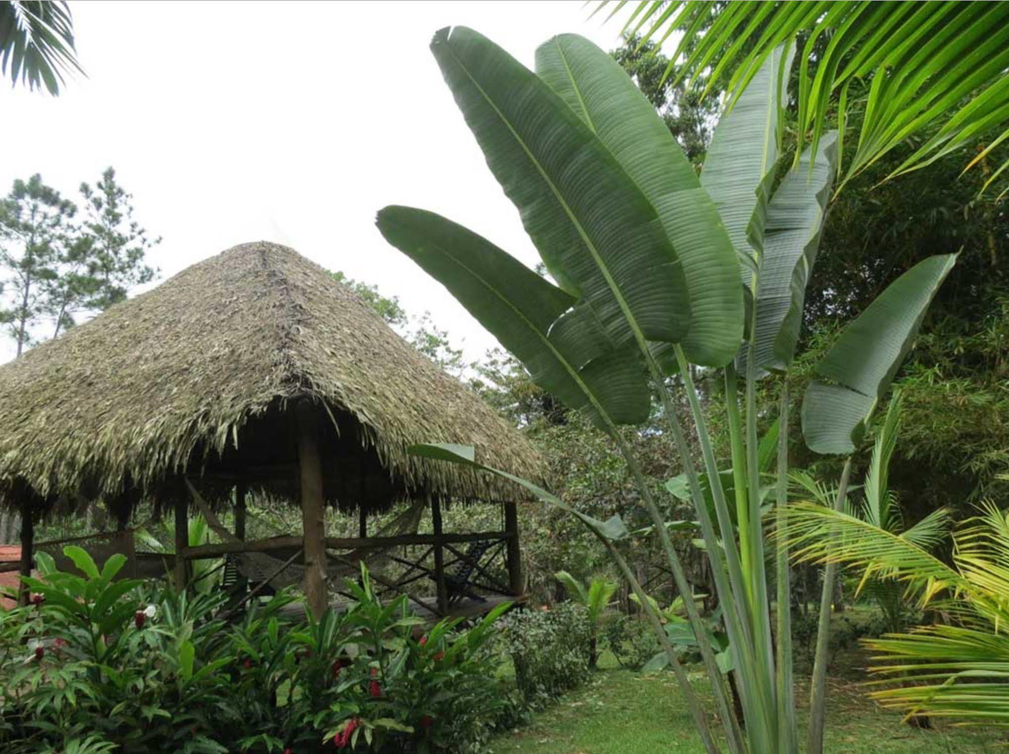 Monkey Lodge Panama Chilibre Extérieur photo