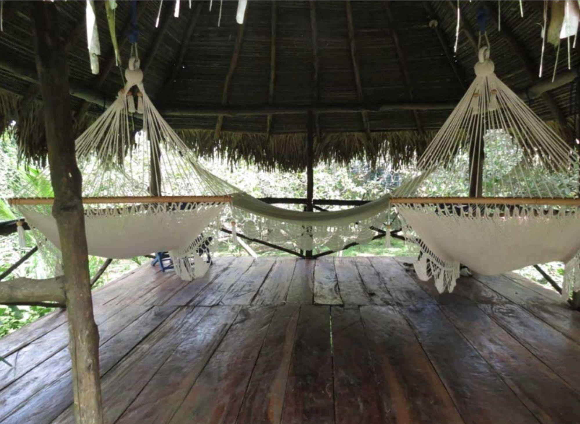 Monkey Lodge Panama Chilibre Extérieur photo
